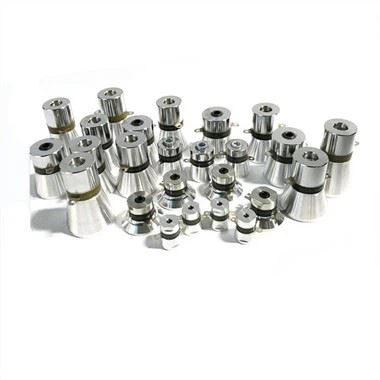 초음파 트랜스듀서 청소